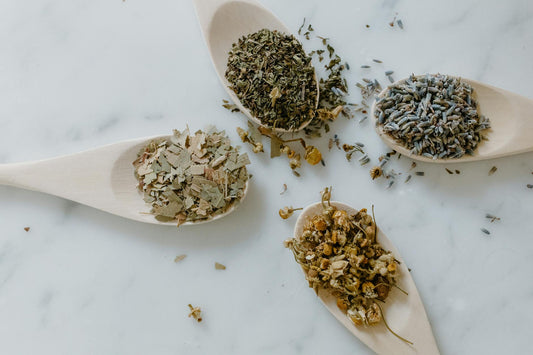Natural dried herbs and botanical ingredients on wooden spoons